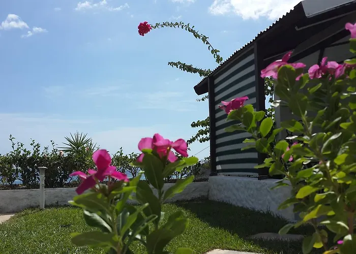 Barracuda Aparthotel